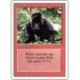 Kird Ape