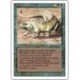 Thicket Basilisk