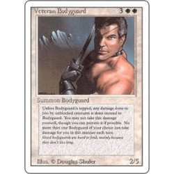 Veteran Bodyguard