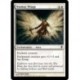 Nimbus Wings