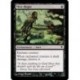 Mire Blight