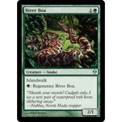 River Boa